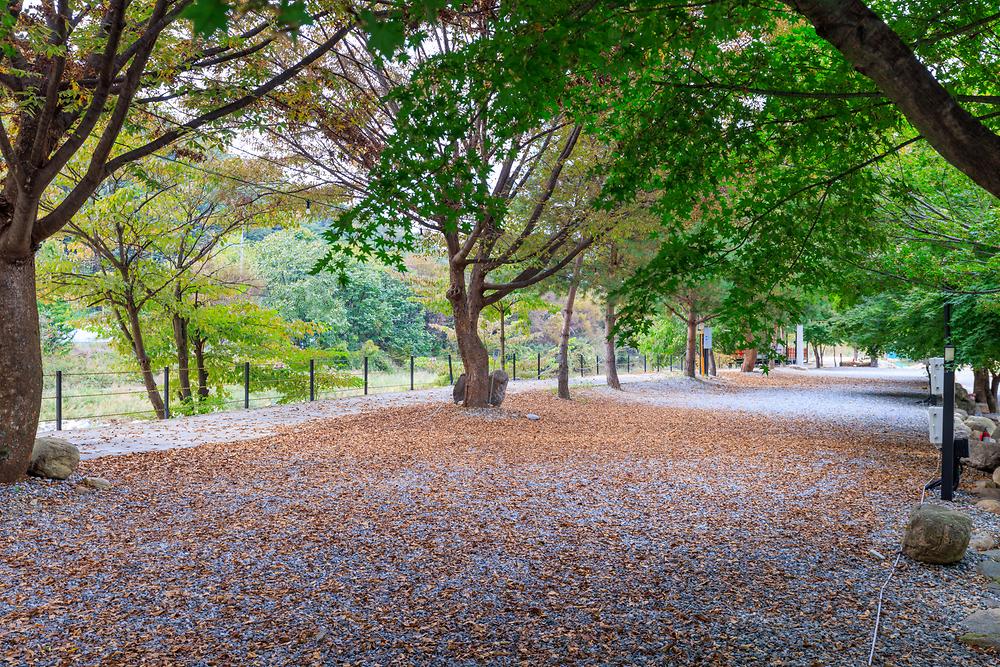 포레스트캐빈앤캠프