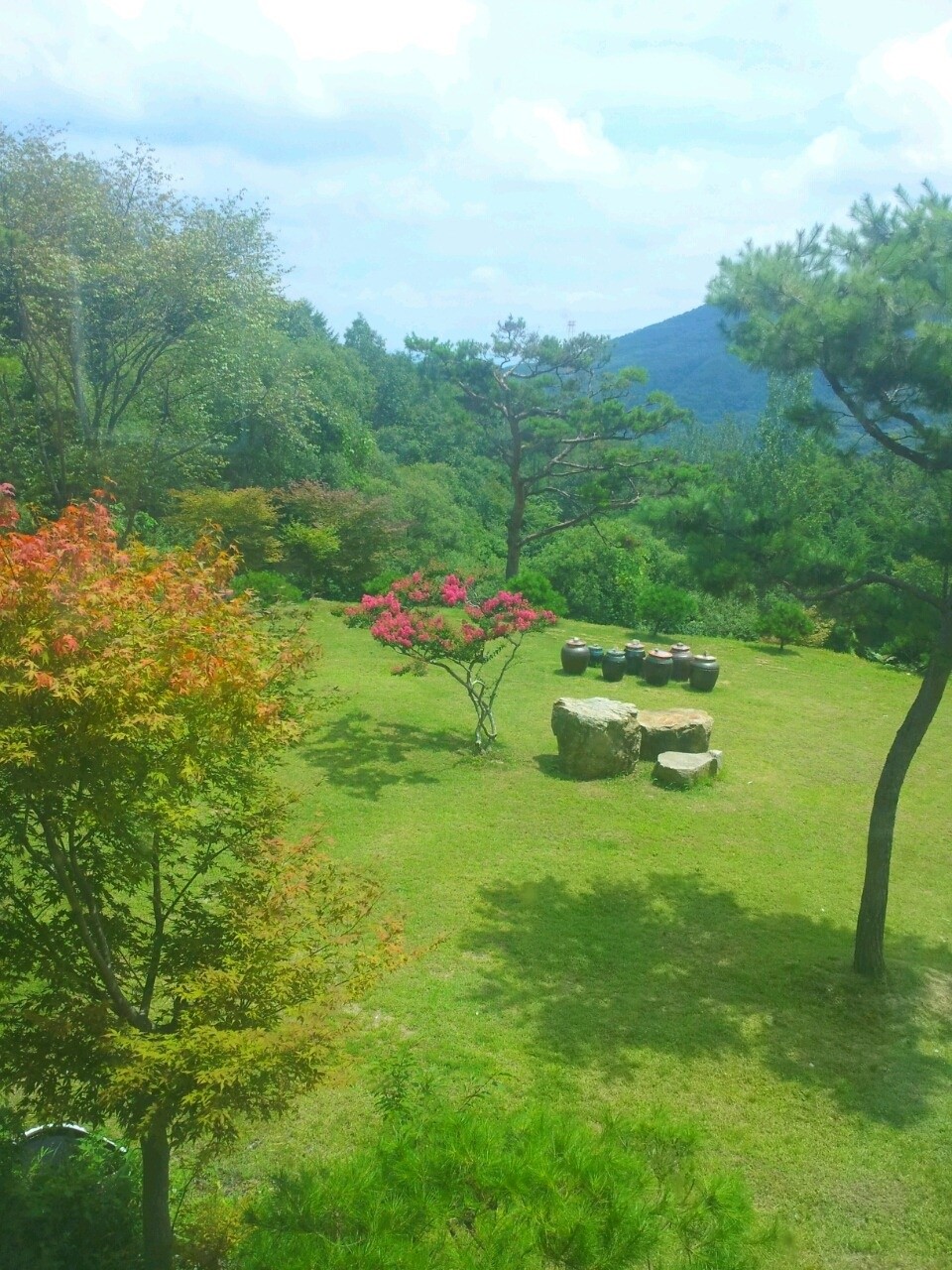솔과황토