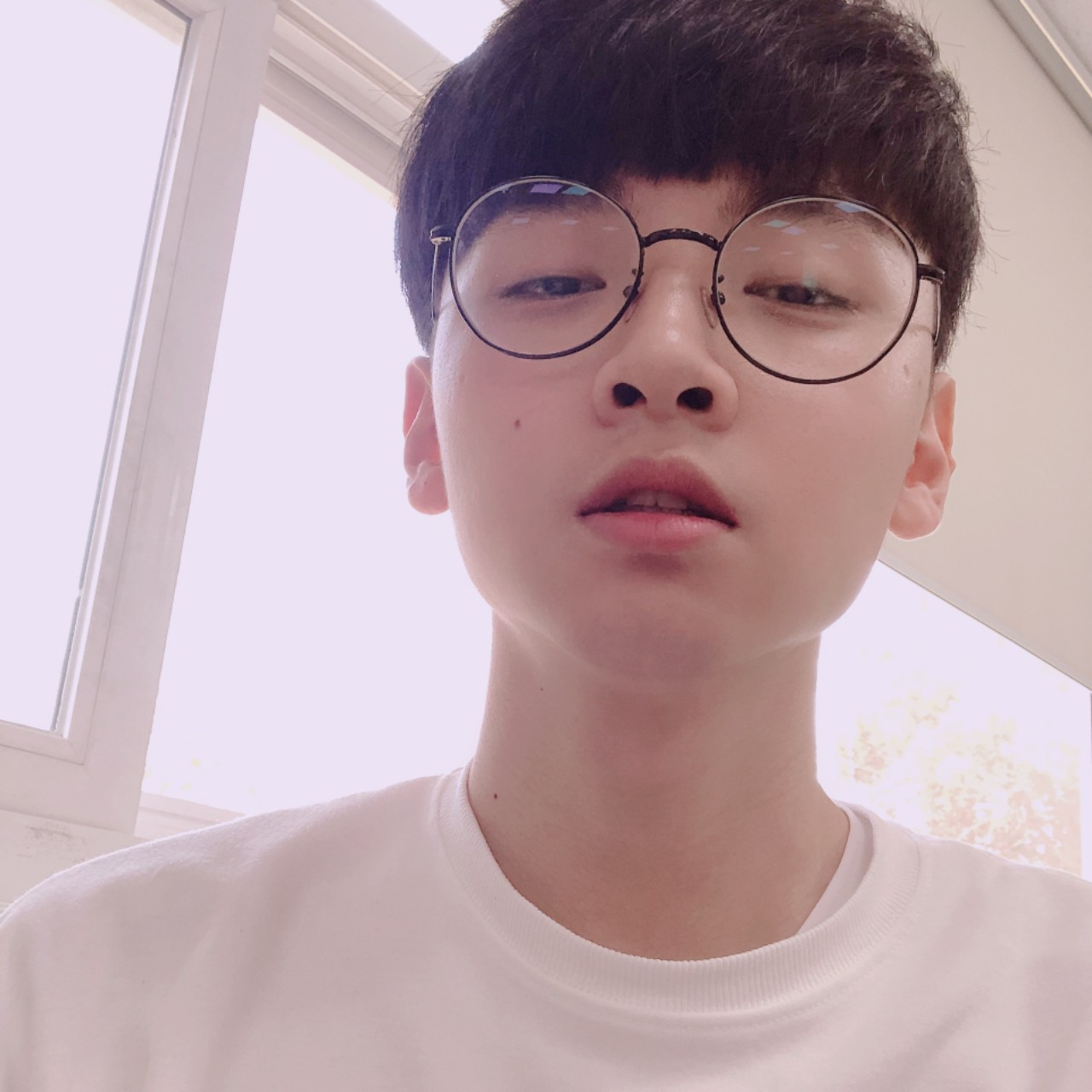 라온 하제