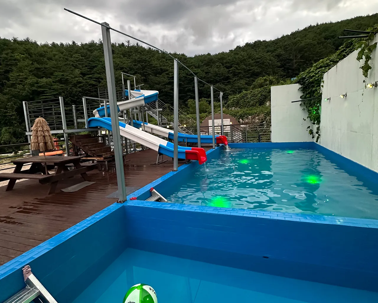 장미와 김목수