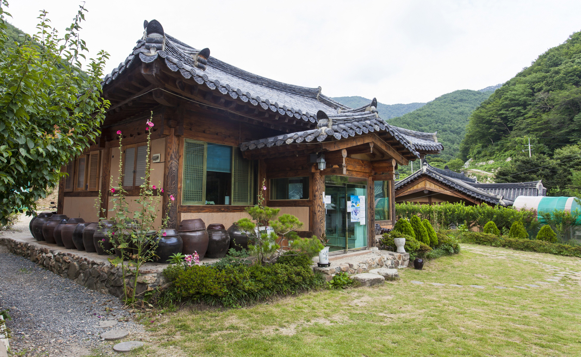 밀양펜션숲속의아침